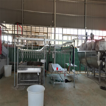 家禽屠宰流水线 鸡、鸭、鹅、鸽子的高效处理系统