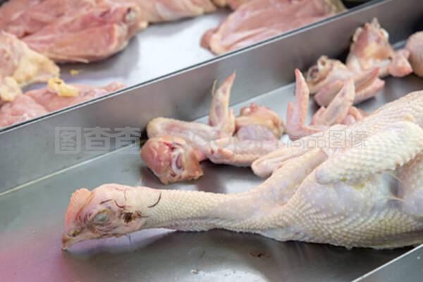 家禽屠宰指南 如何专业处理新鲜整只鸡