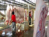 家禽屠宰场所消毒剂、消毒液与高效消毒水的选择与应用