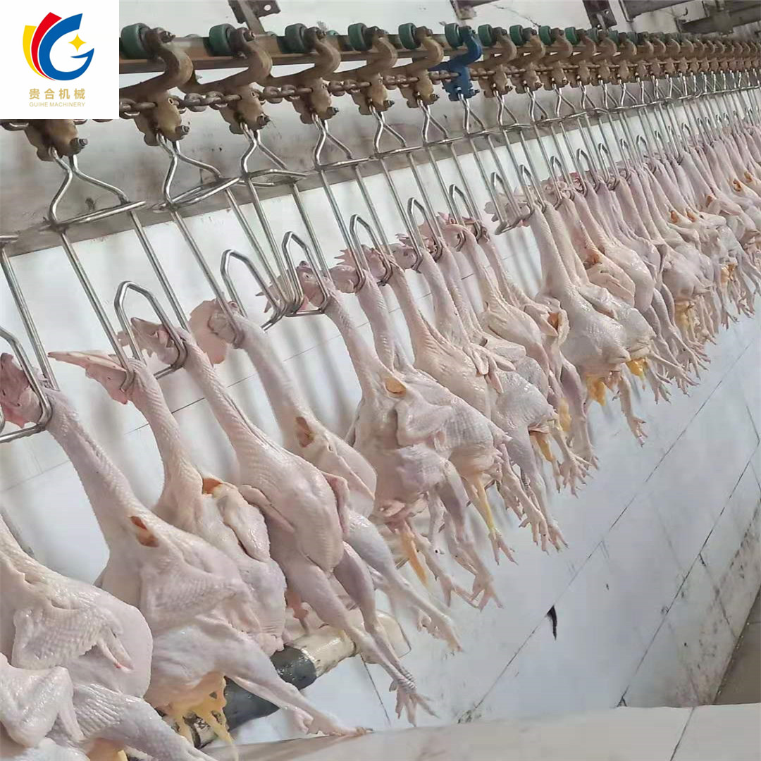 内蒙蛋鸡自动屠宰生产线 家禽宰杀成套设备定制与鸡鸭鹅脱毛机流水线解析