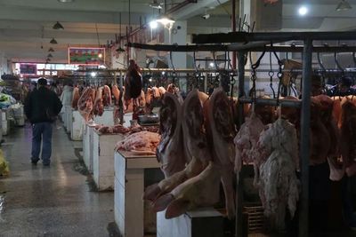 恩施迎新年 家禽屠宰认蓝色脚环，守护春节餐桌安全