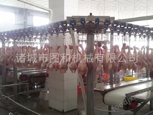 现代化家禽屠宰设备 提升效率与保障食品安全的关键