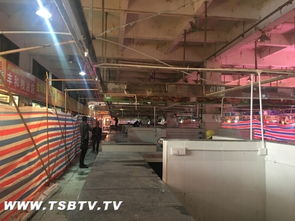 江门台山市中心城区家禽“集中屠宰、冷链配送、生鲜上市”工作进展顺利